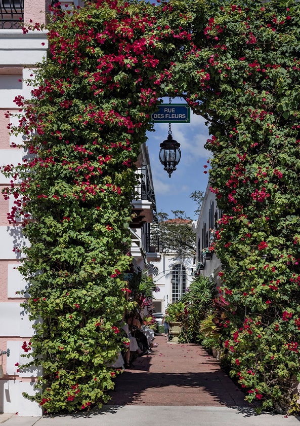 Naples Rue Des Fleurs