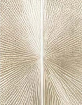 Etched French Gold Metal With Sunburst Pattern